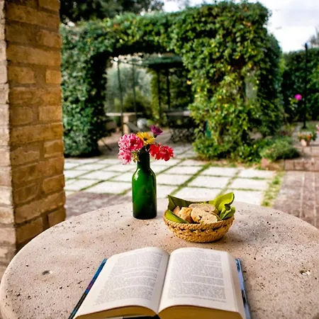 Дом отдыха Historic Among Olive Trees Near Assisi