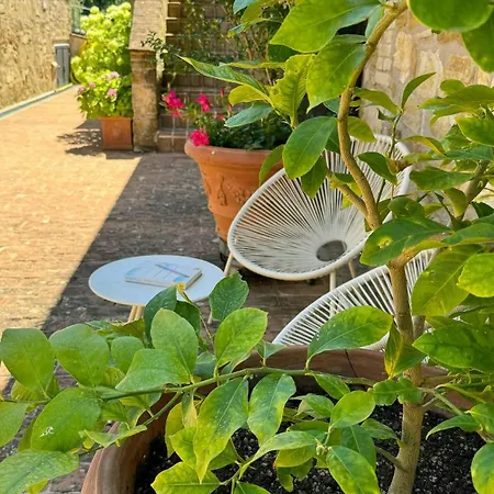 Historic Among Olive Trees Near