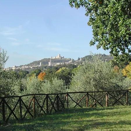 Historic Among Olive Trees Near Assisi Ривоторто