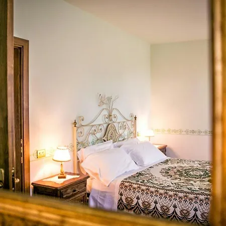 Historic Among Olive Trees Near Assisi