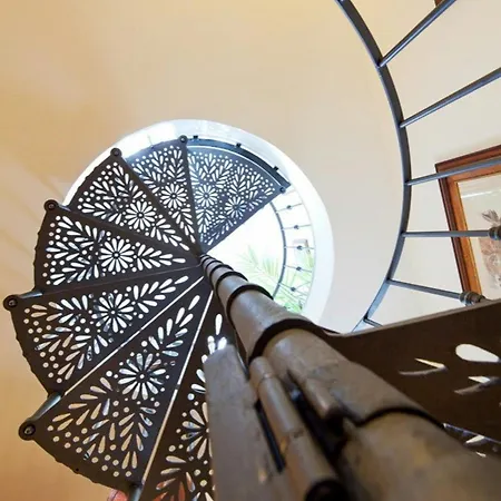 Historic Among Olive Trees Near بيت للعطل *